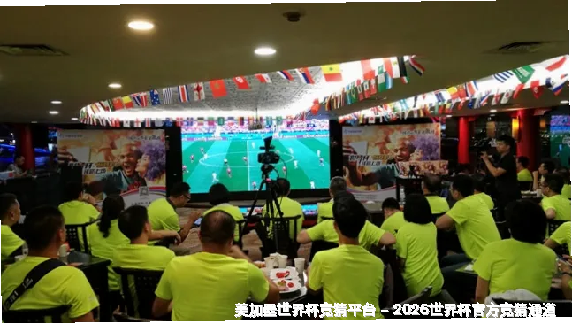 历史命中率展示
